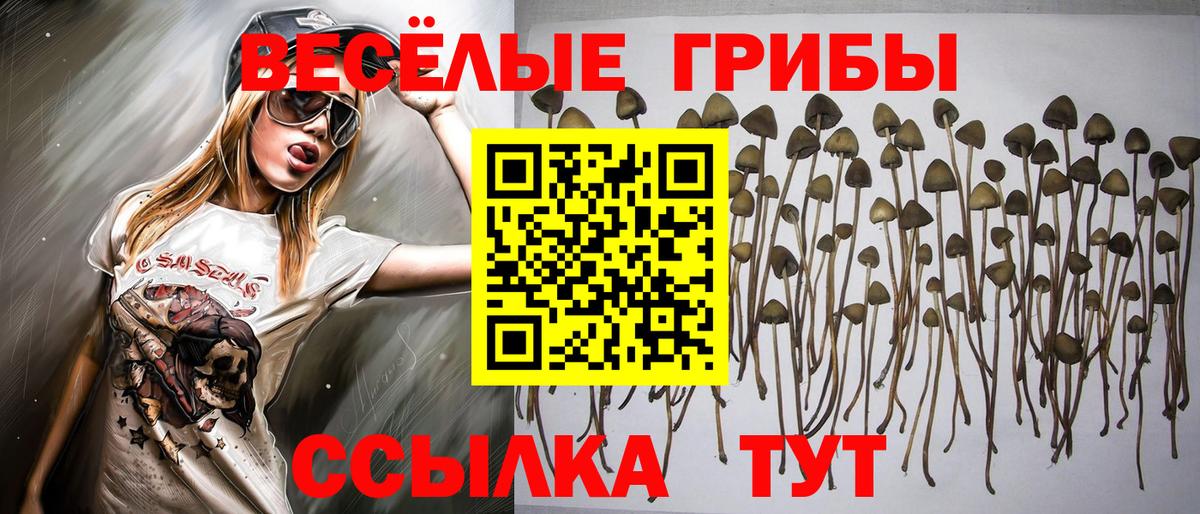 Лосино-Петровский  Псилоцибиновые грибы прущие грибы  Вход с VPN 